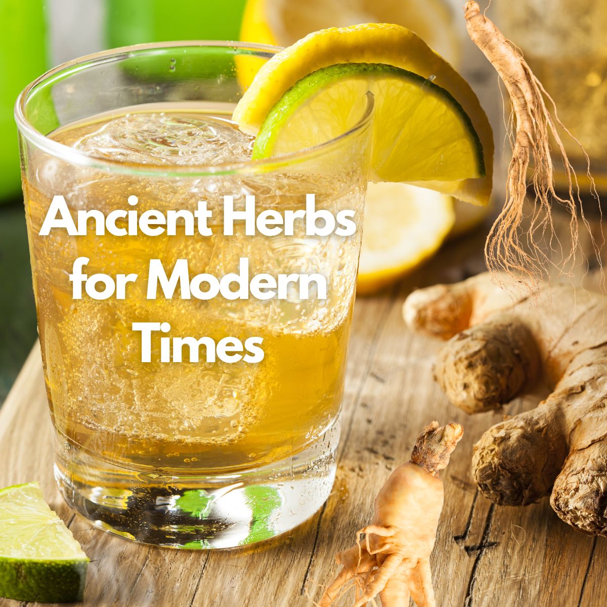 Jing Soda, Ginger Ginseng, 50mL (6 Pack)