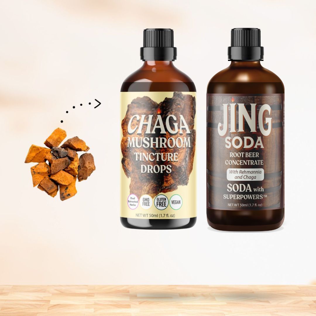 Root Beer Chaga Boost Bundle