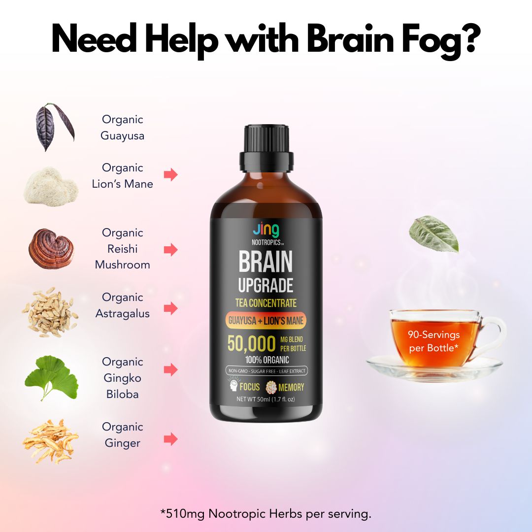 Choose 3 Jing Soda + 1 FREE Brain Upgrade ($78.00 Value)!