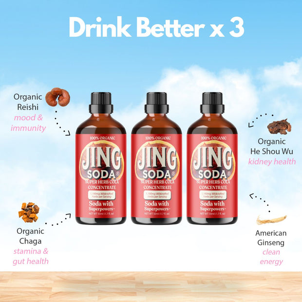 Jing Soda® Super Herb Cola - 3 Bottle Bundle!