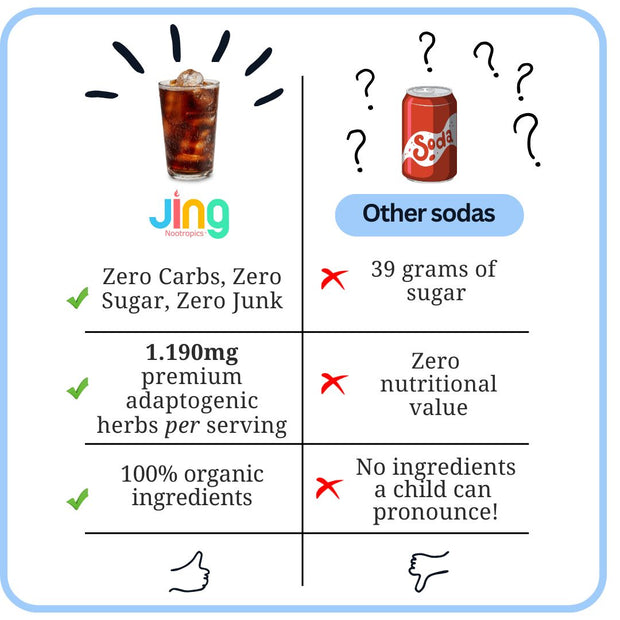 Jing Soda® Super Herb Cola - 3 Bottle Bundle!